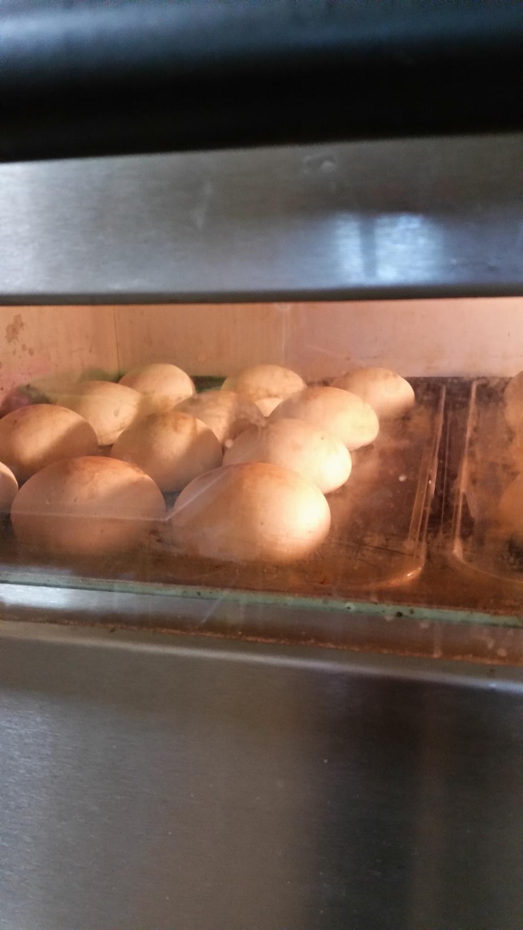 방금 나온 포근한 빵