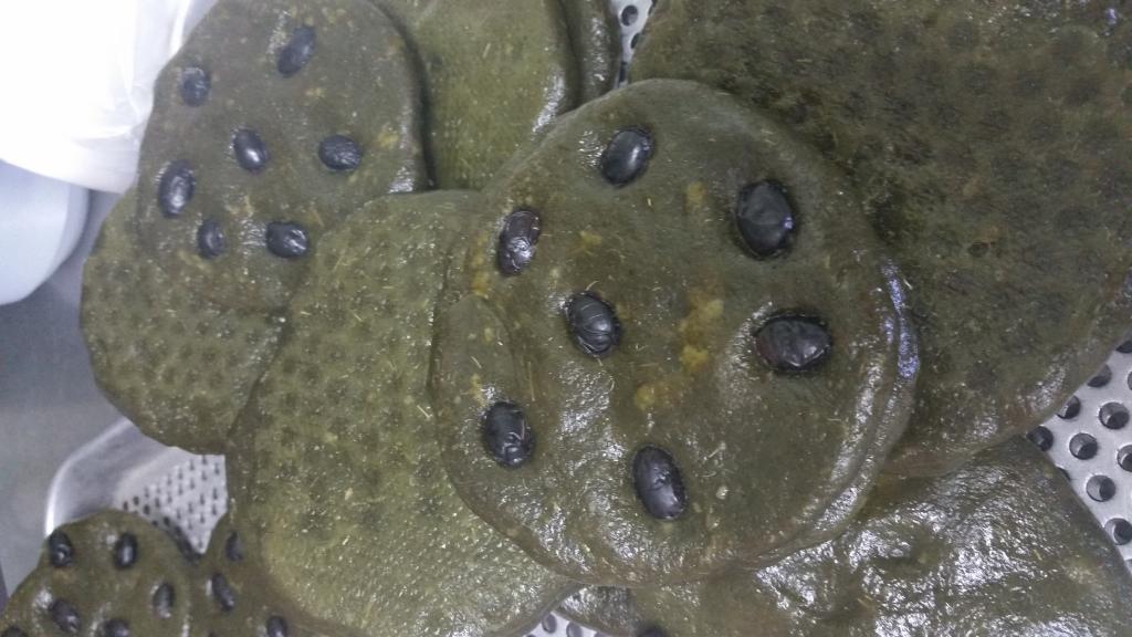 영양만점 콩 쑥개떡.