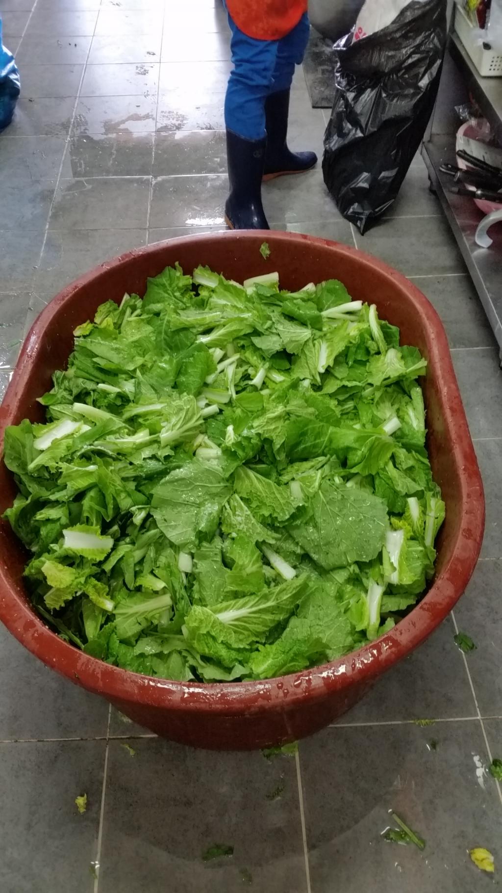 인기만점 김치!